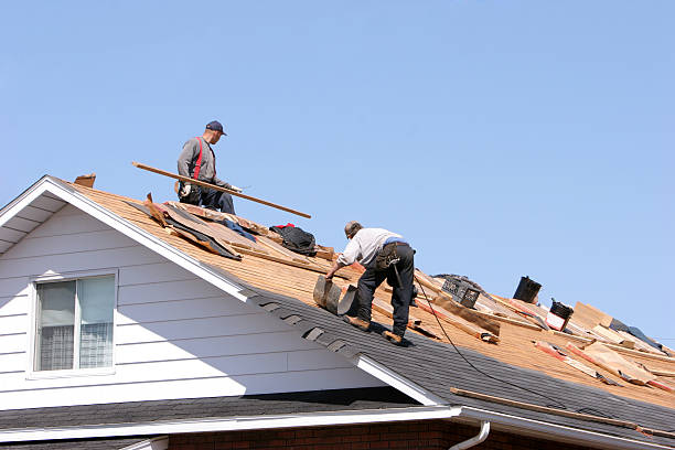 Best Emergency Roof Repair Services  in Nora Springs, IA